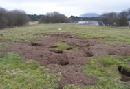 Severe Rabbit Warren Damage