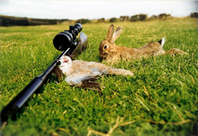 Shooting